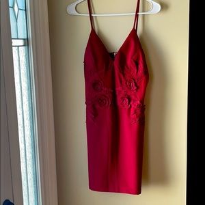 Little red dress size large